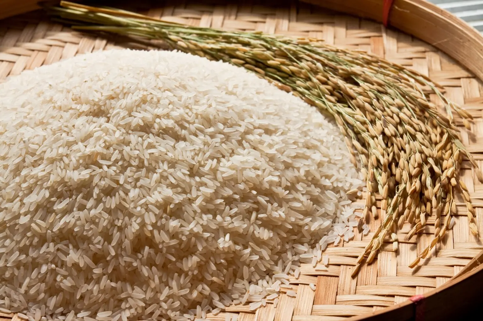 راهنمای خرید برنج باکیفیت