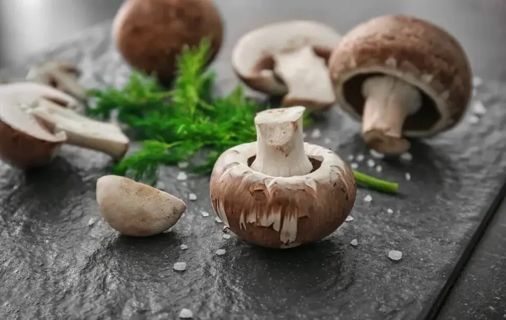 شناخت انواع قارچ خوراکی و نحوه استفاده