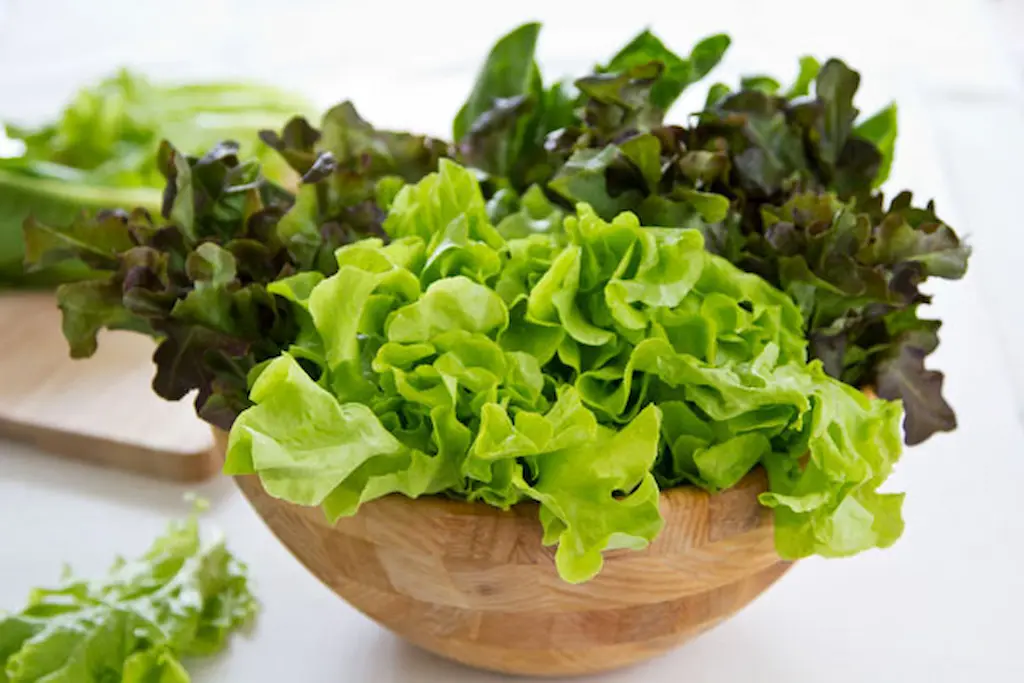 چگونه سبزیجات برگی را تا یک ماه تازه نگه داریم؟ 4 سؤالات متداول درباره نگهداری سبزیجات برگی