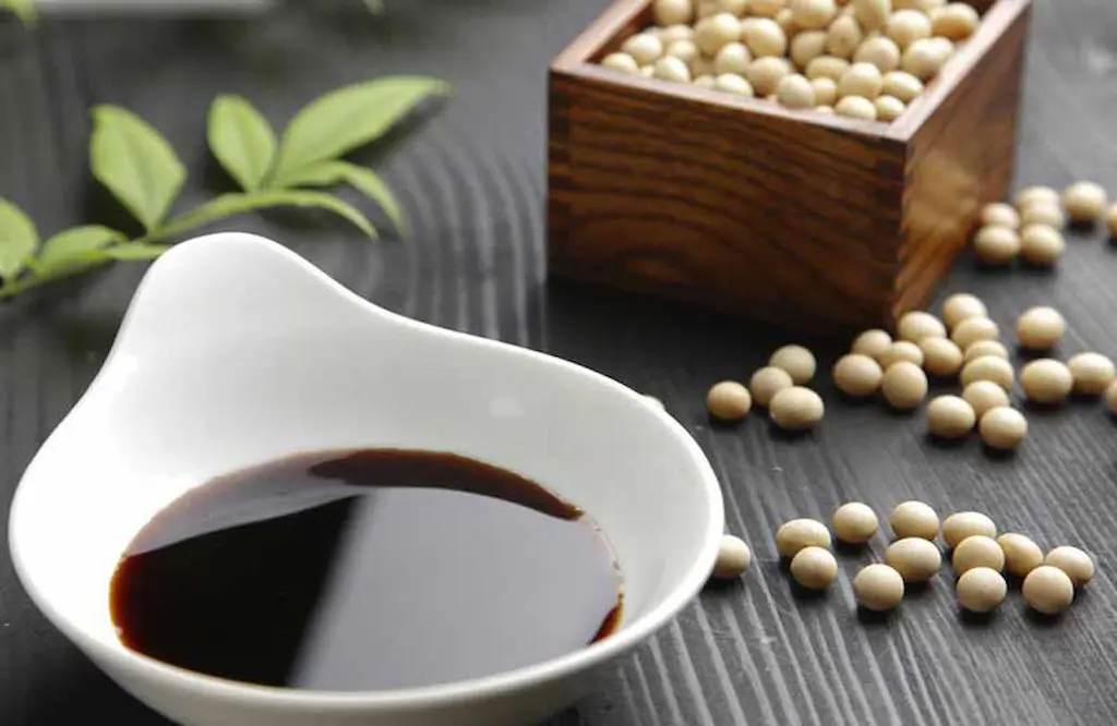 شناخت انواع سس سویا و کاربردهای آن