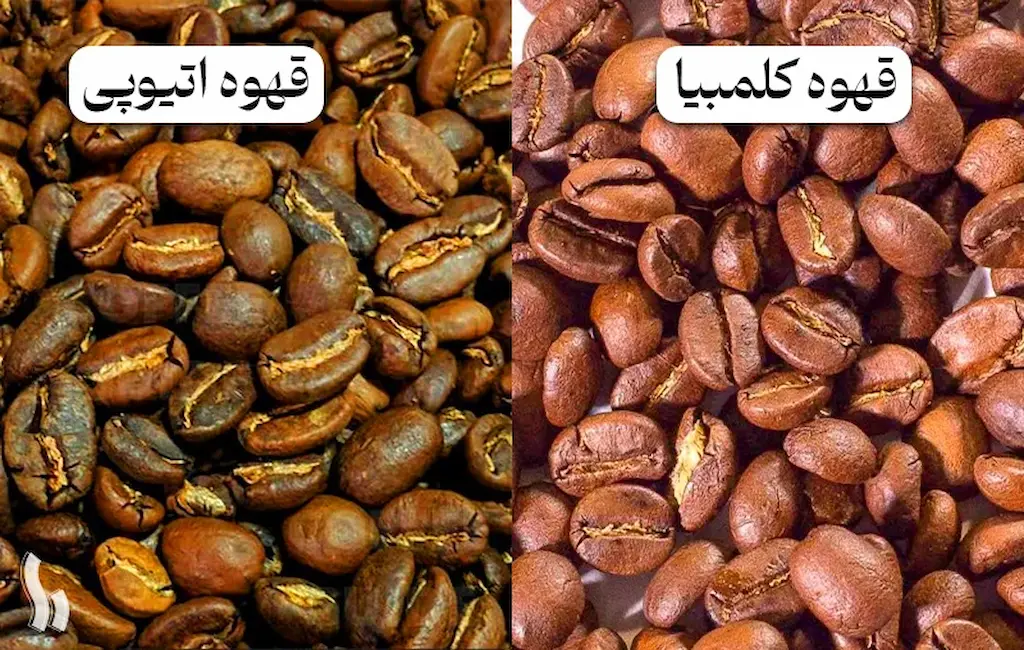 قهوههای معروف دنیا از جامائیکا تا اتیوپی 3 قهوههای معروف دنیا از جامائیکا تا اتیوپی