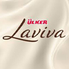 لاویوا Laviva