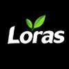 لوراس loras