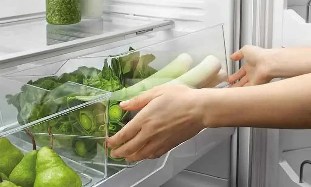 چگونه سبزیجات برگی را تا یک ماه تازه نگه داریم؟ 3 چگونه سبزیجات برگی را تا یک ماه تازه نگه داریم؟