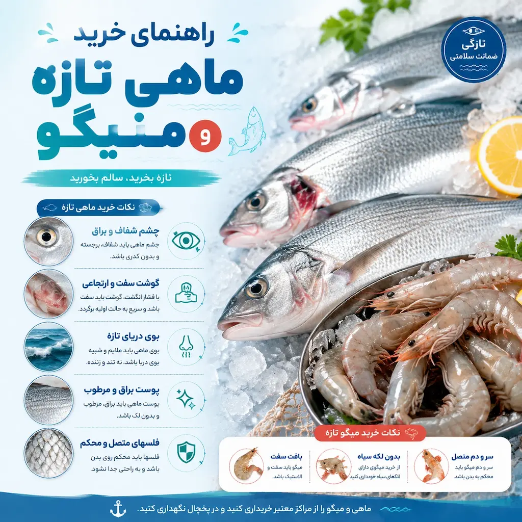 راهنمای خرید ماهی و میگو تازه